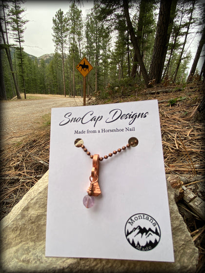 Horseshoe Nail Collection